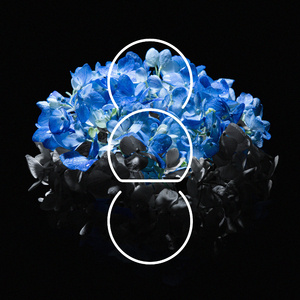 扒开腿挺进湿润的花茎
