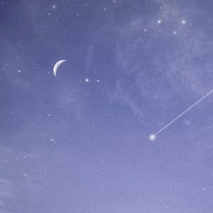 扒开腿挺进湿润的花茎
