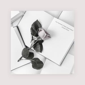 扒开腿挺进湿润的花茎
